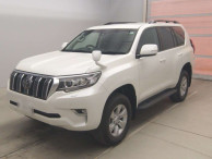 2019 Toyota Land Cruiser Prado