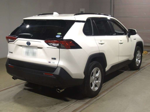 2019 Toyota RAV4 AXAH52[1]