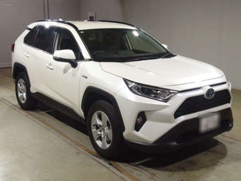 2019 Toyota RAV4 AXAH52[2]