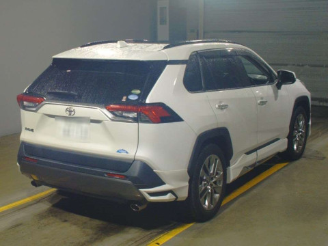 2019 Toyota RAV4 MXAA54[1]