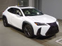 2021 Lexus UX