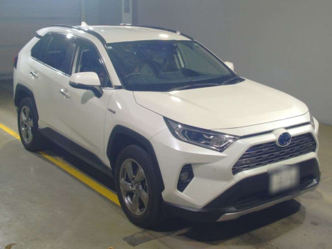 2019 Toyota RAV4 AXAH54[0]