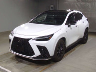 2022 Lexus NX