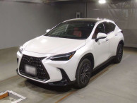 2023 Lexus NX