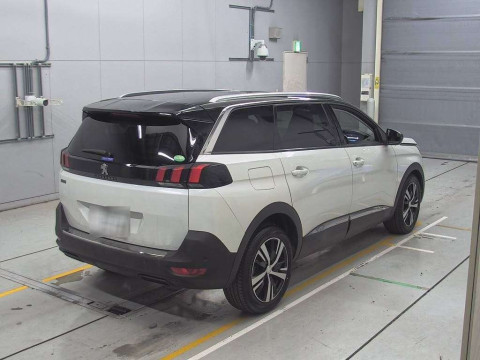 2019 Peugeot 5008 P875G06[1]