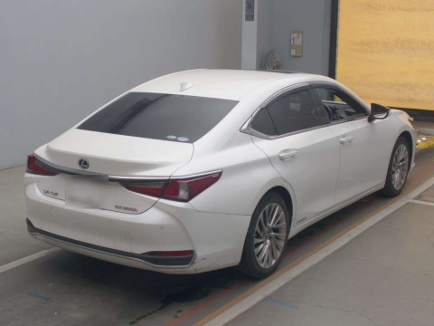 2020 Lexus ES AXZH10[1]