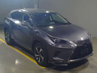 2020 Lexus NX