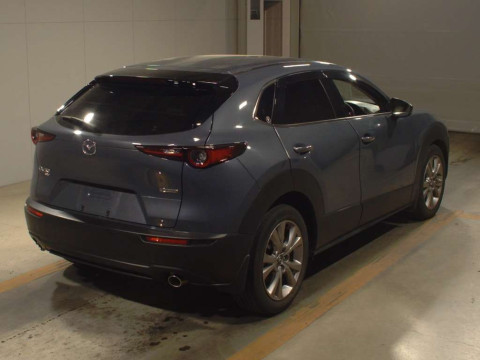 2019 Mazda CX-30 DMEP[1]