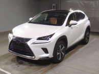 2019 Lexus NX