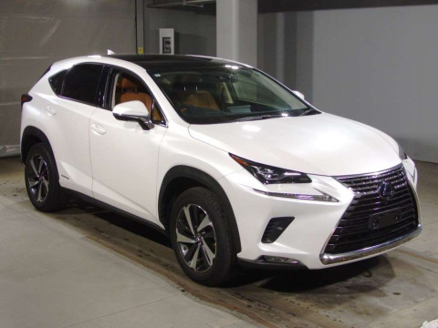 2019 Lexus NX AYZ10[1]