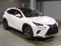 2019 Lexus NX