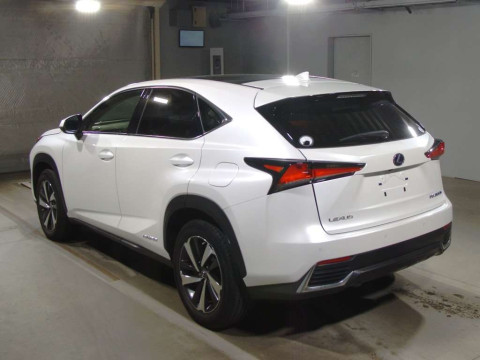 2019 Lexus NX AYZ10[2]