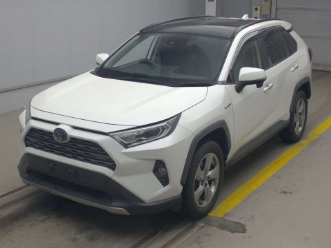 2019 Toyota RAV4 AXAH54[0]