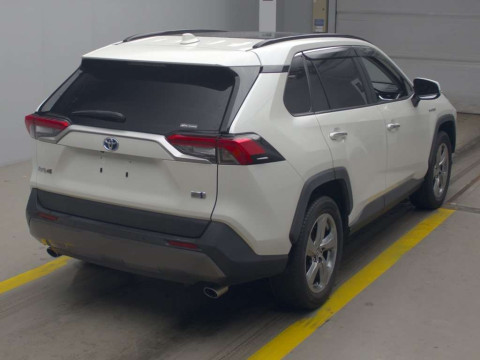 2019 Toyota RAV4 AXAH54[1]