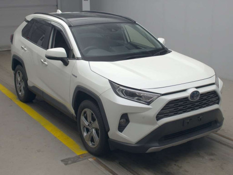 2019 Toyota RAV4 AXAH54[2]