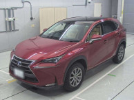 2014 Lexus NX