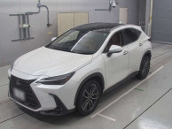 2023 Lexus NX