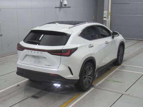 2023 Lexus NX AAZH20[1]