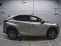 2021 Lexus NX