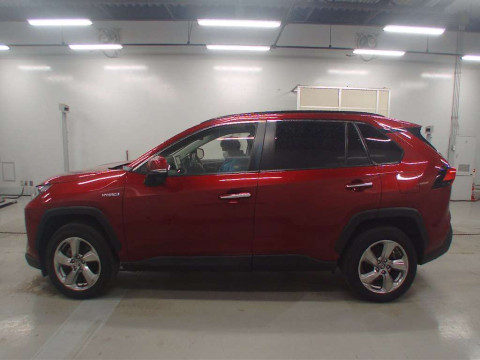 2019 Toyota RAV4 AXAH54[2]