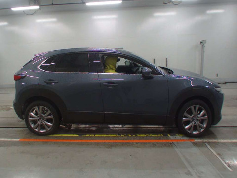 2019 Mazda CX-30 DMEP[1]