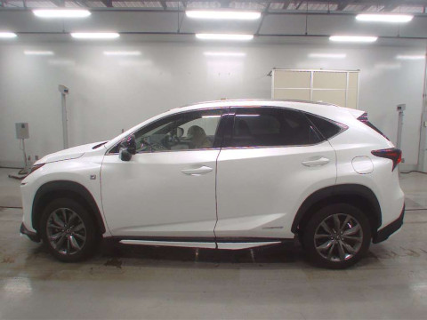 2020 Lexus NX AYZ15[2]