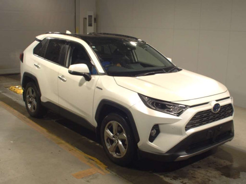 2019 Toyota RAV4 AXAH54[2]