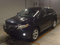 2009 Lexus RX