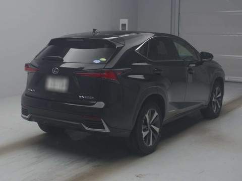 2019 Lexus NX AYZ10[1]