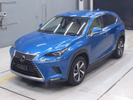 2019 Lexus NX