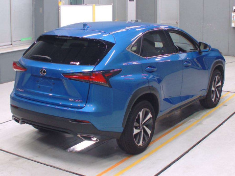 2019 Lexus NX AGZ10[1]