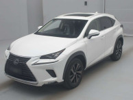 2019 Lexus NX