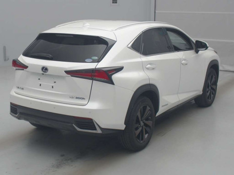 2019 Lexus NX AYZ15[1]