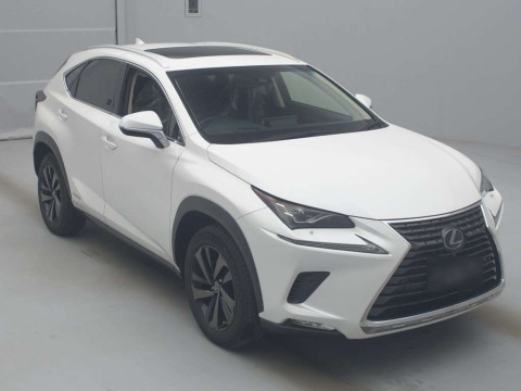 2019 Lexus NX AYZ15[2]