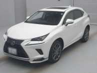 2019 Lexus NX