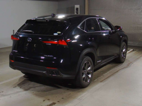 2020 Lexus NX AYZ10[1]