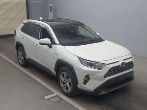 2020 Toyota RAV4 AXAH54[2]