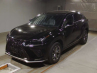 2020 Lexus NX