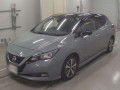 2020 Nissan Leaf