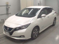 2020 Nissan Leaf