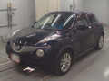 2011 Nissan JUKE