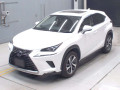 2019 Lexus NX