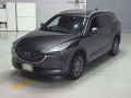 2019 Mazda CX-8
