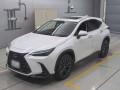 2022 Lexus NX
