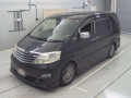 2008 Toyota Alphard G