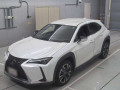 2020 Lexus UX