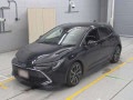 2020 Toyota Corolla Sports