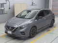 2019 Nissan Leaf