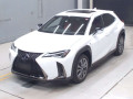 2020 Lexus UX