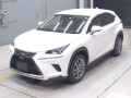 2020 Lexus NX